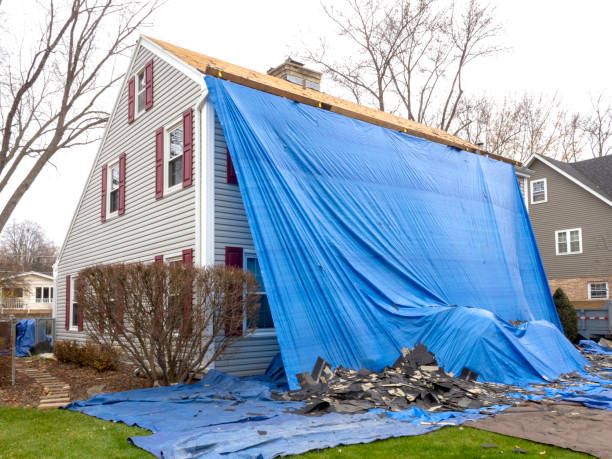 Best Shed Removal  in Forsyth, MO